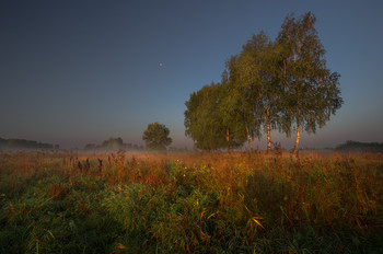 Nebel zerstreut / ***