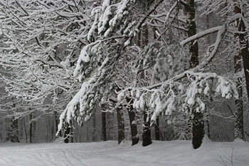 Winter / * * * * *