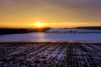 Sunset / Sunset