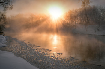 winter / ***