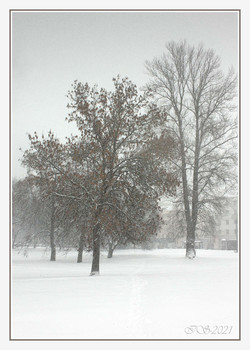 Winter etude / ***