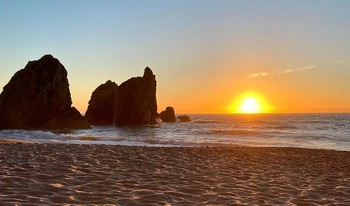 Ocean / Weird 2020 you still van be beautiful
