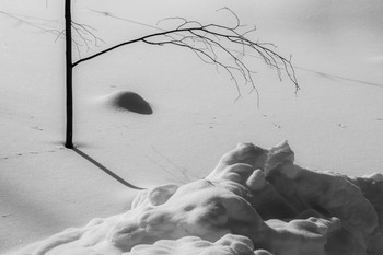 Februar / ***