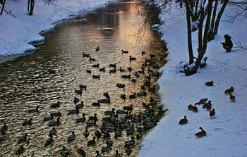 Abendlicht ... / ***