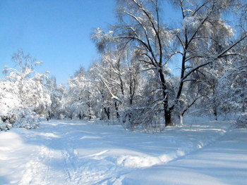 Winter-Skizzen. / ***