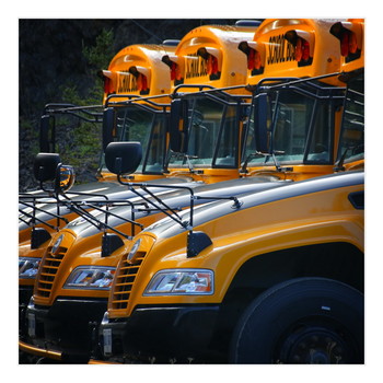 School busses dreaming of good old school days / School busses in waiting
New Foundland, Canada
