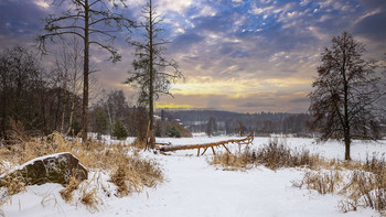 Moscow region / ***