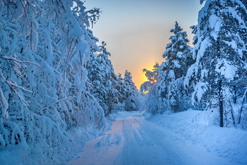 Winter road. / ***