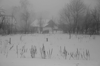 Nebliger Morgen / ***