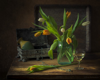 Tulips / ***