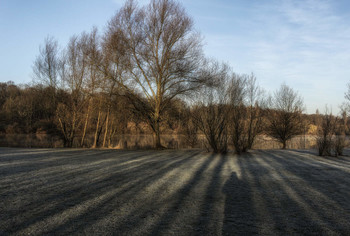 Schatten / ***