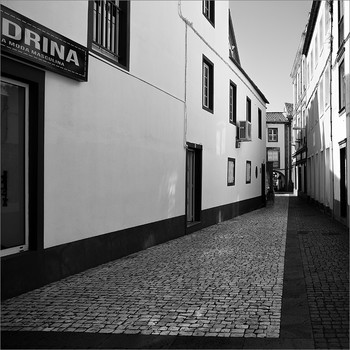 &nbsp; / [img]https://i.postimg.cc/MHQBt3tF/6-Y1-A1059-1bwss.jpg[/img]
