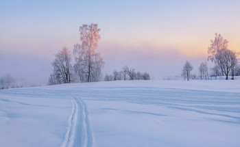Winterdämmerung. / ***