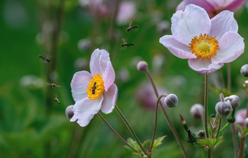 Gemeinschaftsverpflegung / ***