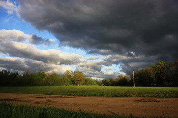 Weg / ***