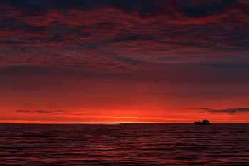 Red... / ***
