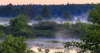 Morning fog. / ***