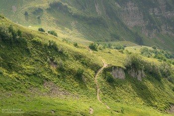 trail / ***
