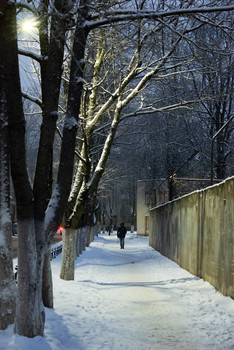 Winter road / ***
