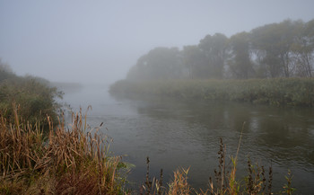 Oktober Nebel / ***