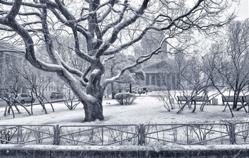 März Schneefall / ***