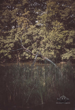 Am Stadtrand / https://vk.com/e.vaguro

https://www.instagram.com/vaguro_v_u_v/

https://web.facebook.com/evgeniy.vagouro

https://www.pexels.com/ru-ru/@10472344