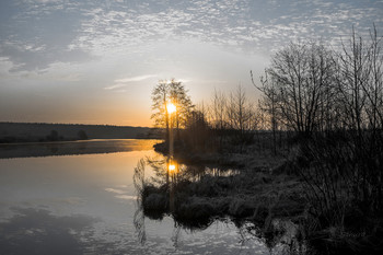 Morgen / ***