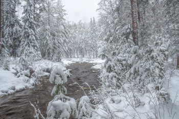 Spring Snowfall / ***