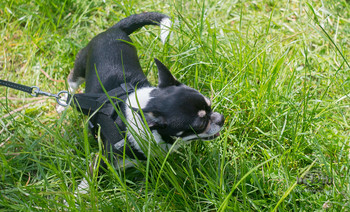 Am Stadtrand / https://vk.com/e.vaguro

https://www.instagram.com/vaguro_v_u_v/

https://web.facebook.com/evgeniy.vagouro

https://www.pexels.com/ru-ru/@10472344