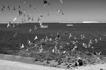 The Old Man and pigeons / [img]https://a.radikal.ru/a40/2103/9e/cac5237dfc90.jpg[/img]
