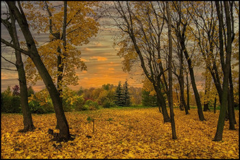 Autumn sketches / ***