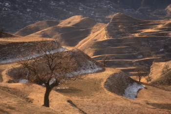Der Frühling kommt / ***