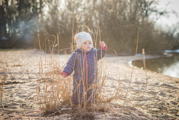 spring beams / ***
