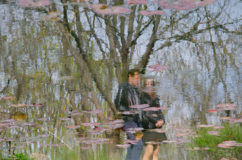 spring beams / ***