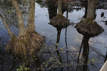 Frühling Überschwemmungen / ***