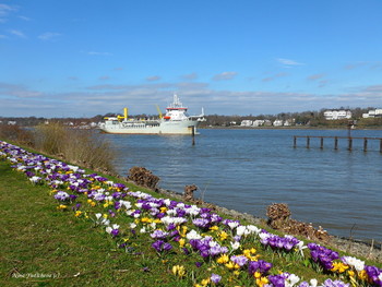 Hamburg / ***