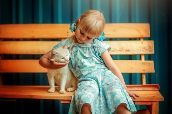 friendship / ***