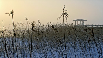 Sonnenaufgang über dem Fluss / ***