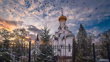 Ravens ... / ***