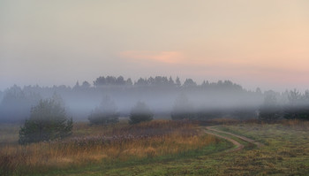road in the fog / ***