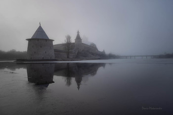 The mist / ***