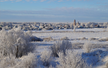 Sonniger Morgen / ***