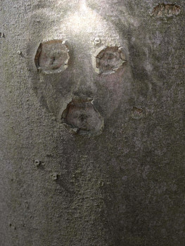 Nowhere / Behind the scene