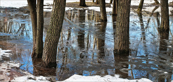 Spring / ***