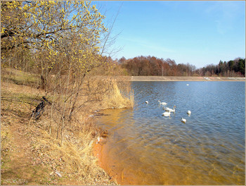 Frühling / [img]https://i.imgur.com/AKM503L.jpg[/img]
[img]https://i.imgur.com/jquFTh7.jpg[/img]
