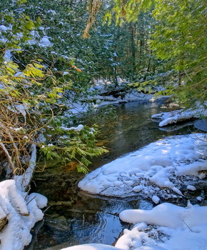 Forest River / ***