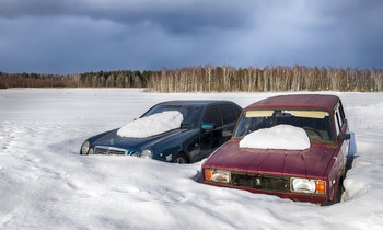 The first snowdrops / ***