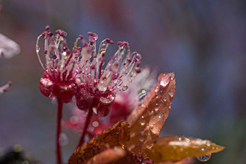 &nbsp; / ---------------------------