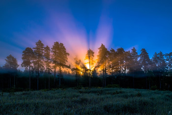 Fog dissipates / ...
