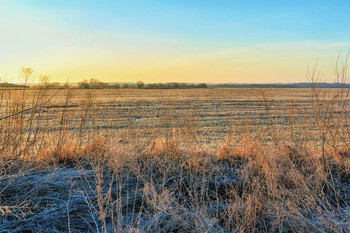 Morning light .. / ***
